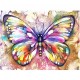 Canvas Renkli Kelebek Sayılarla Boyama Seti Kasnaklı