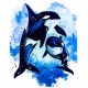 Canvas Mavi Sular ve Orca Sayılarla Boyama Seti Rulo
