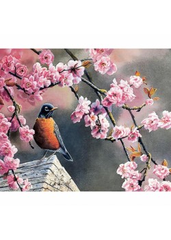 Canvas Bahar ve Kuşlar 2 Sayılarla Boyama Seti Kasnaklı