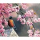Canvas Bahar ve Kuşlar 2 Sayılarla Boyama Seti Rulo