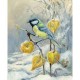 Canvas Kış ve Kuş Sayılarla Boyama Seti Kasnaklı