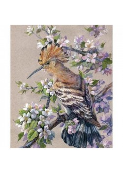 Canvas Bahar ve Kuş Sayılarla Boyama Seti Kasnaklı