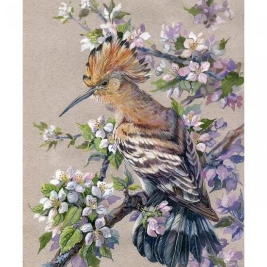 Canvas Bahar ve Kuş Sayılarla Boyama Seti Rulo