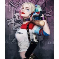 Canvas Harley Quinn 2 Sayılarla Boyama Seti Kasnaklı