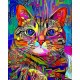 Canvas Renkli Kedi 2 Sayılarla Boyama Seti Rulo