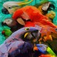 Canvas Renkli Papağanlar Sayılarla Boyama Seti Kasnaklı