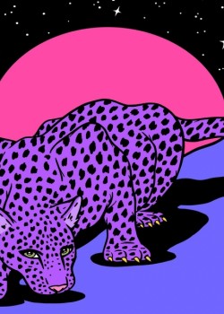 Canvas Uzaydaki Leopar Sayılarla Boyama Seti Kasnaklı
