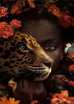 Canvas Afrikali Güzel ve Dostları Sayılarla Boyama Seti Rulo