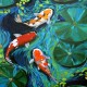 Canvas Renkli Balıklar Sayılarla Boyama Seti Rulo