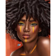 Canvas Afrika Stili Sayılarla Boyama Seti Rulo