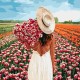 Canvas Şapkalı Çiçek Toplayan Kız Sayılarla Boyama SetiRulo