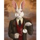 Canvas Tavşanın Zerafeti Sayılarla Boyama Seti Rulo