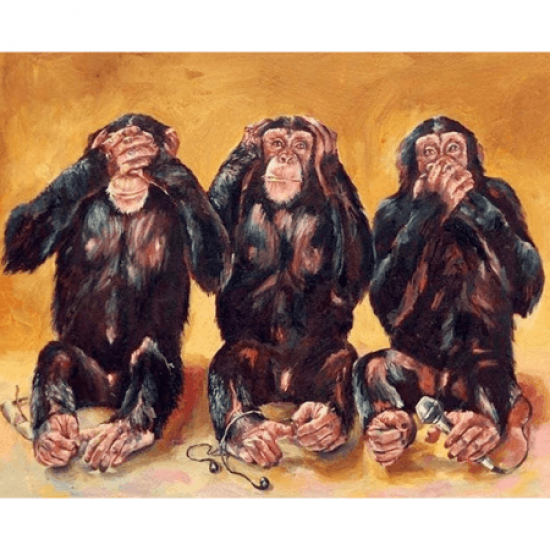 Canvas Üç Maymun Sayılarla Boyama Seti Rulo